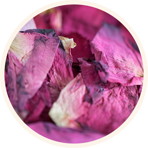 A close up of rose petals
