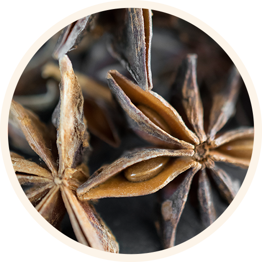 A close up of star anise up