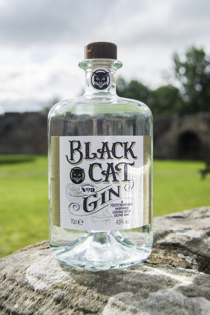 Bottle of Black Cat Savoury Gin Cumbrian No 3 standing on a wall with sunlight in the background