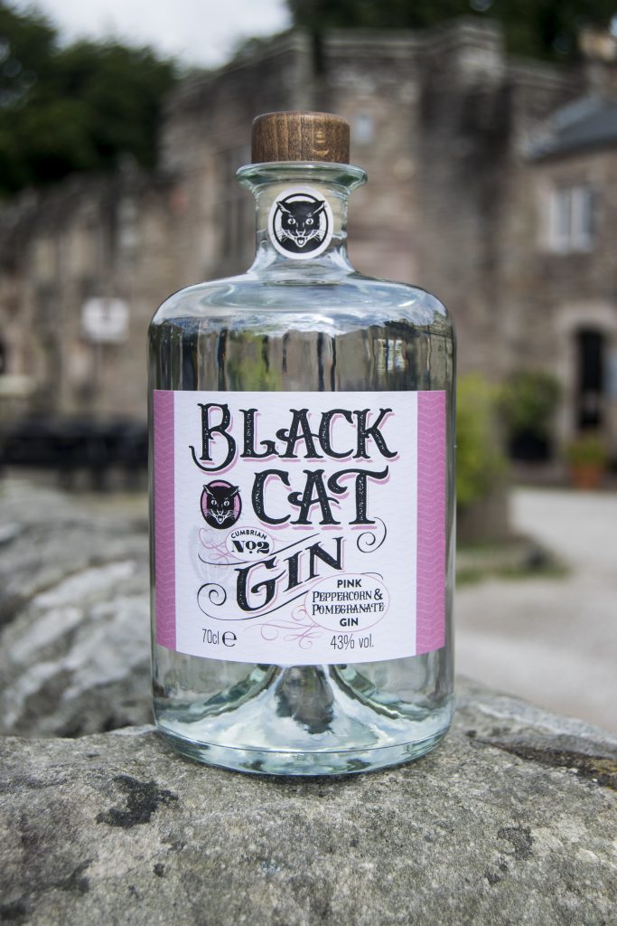 Bottle of Black Cat Fruity Gin Cumbrian No 2 standing on a wall with Brougham Hall in the background.