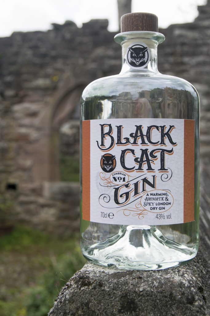 Bottle of Black Cat spicy gin Cumbrian No 1 standing on wall with ruins in the background.