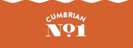 cumbrian no 1 gin banner